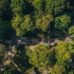 Why Trees Struggle During Summer Heat